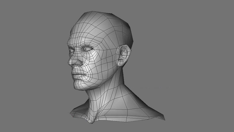 CGI wireframe of human head