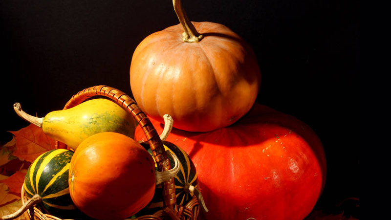 pumpkins and gourds in a basket with a handle