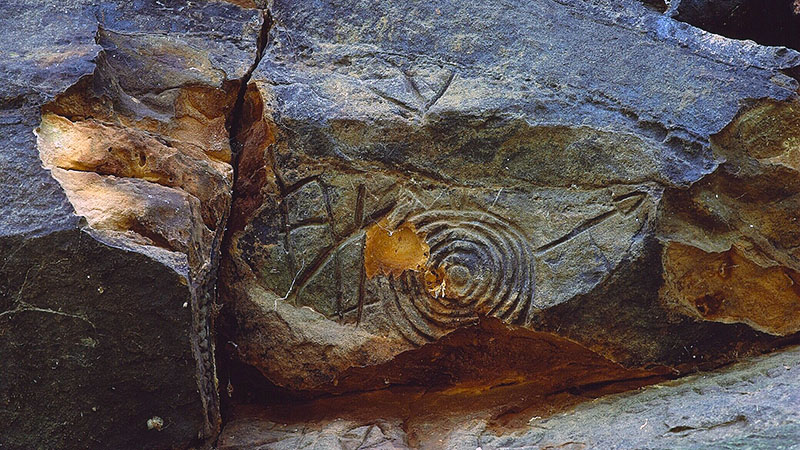 Photo of a petroglyph on a jagged rock