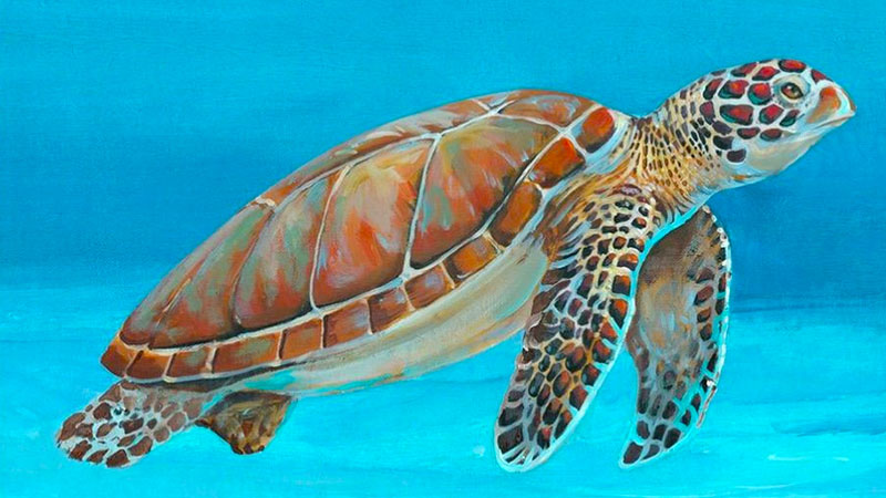 Painting of a Sea Turtle
