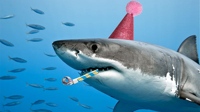 a shark wearing a party hat.