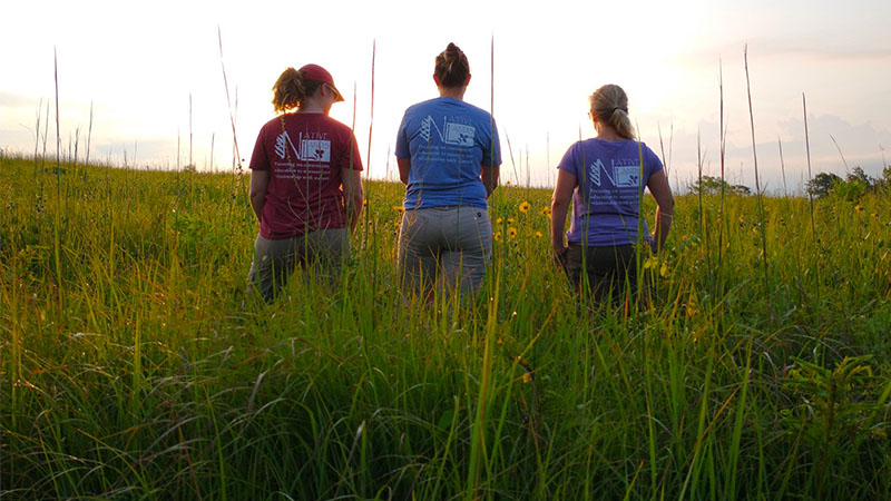 Three Native Lands LLC employees wearing logo shirts, standing in a grassy field with their backs turned to the camera.
