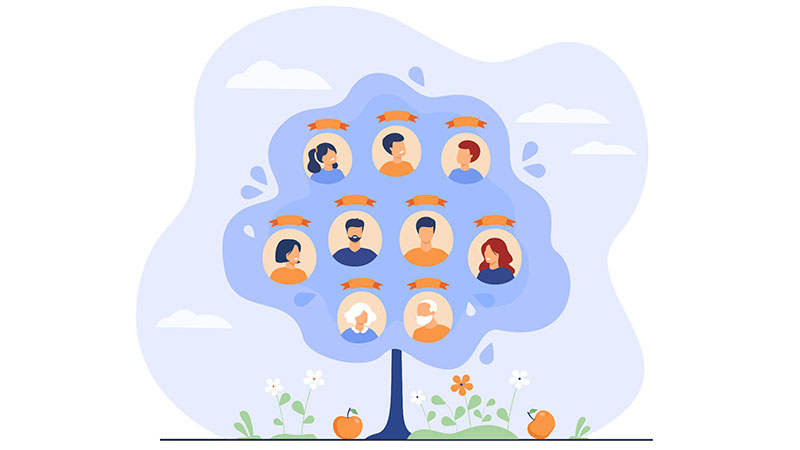 Cartoon drawing of a family tree.