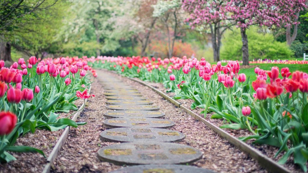 Master Gardeners presents – Landscape Design 0.97 – Landscaping how-to before the Landscaping 101