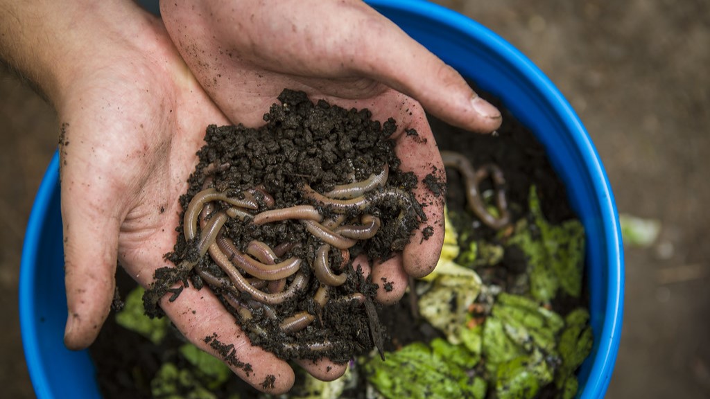 Introduction to Vermicomposting